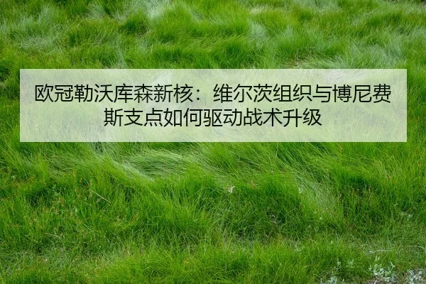 ou-guan-lei-wo-ku-sen-xin-he-wei-er-ci-zu-zhi-yu-bo-ni-fei-si-zhi-dian-ru-he-qu-dong-zhan-shu-sheng-ji-3-307.jpg